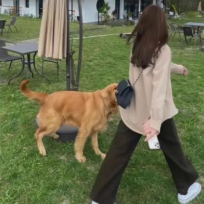 什么都不想做
